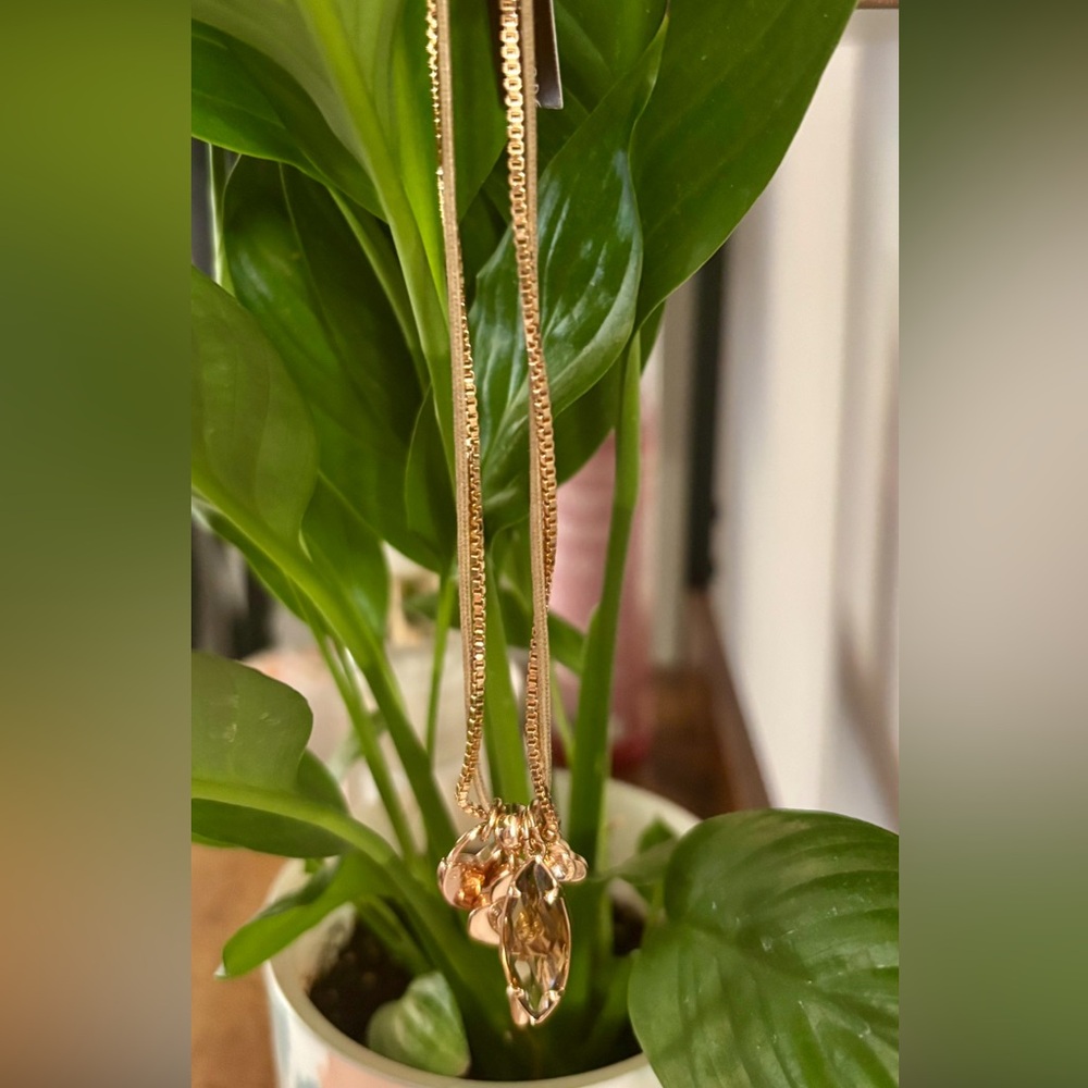 Henri Bendel Rose Gold Charm Necklace NWT